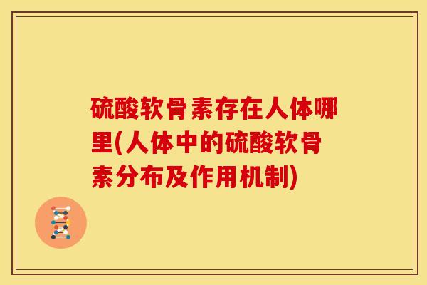 硫酸软骨素存在人体哪里(人体中的硫酸软骨素分布及作用机制)