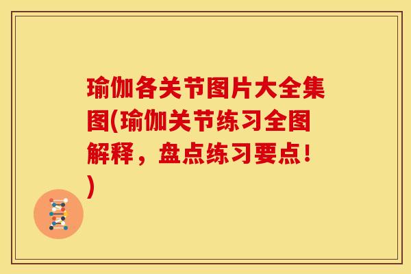瑜伽各关节图片大全集图(瑜伽关节练习全图解释,盘点练习要点!) 瑜伽各关节图片大全集图(瑜伽关节练习全图解释,盘点练习要点!)
