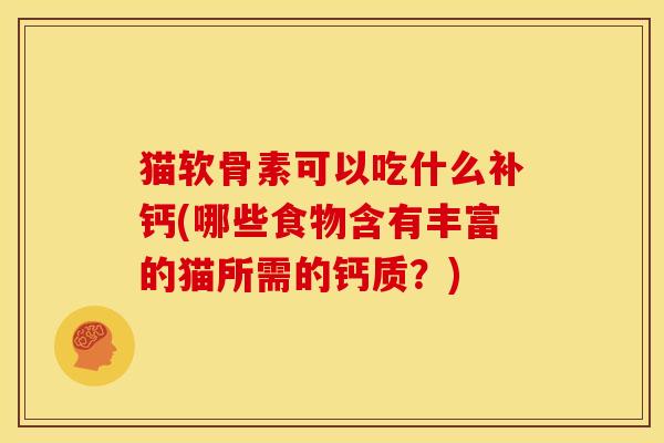 猫软骨素可以吃什么补钙(哪些食物含有丰富的猫所需的钙质？)