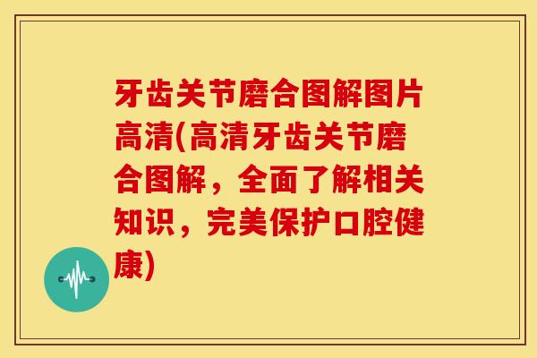 牙齿关节磨合图解图片高清(高清牙齿关节磨合图解，全面了解相关知识，完美保护口腔健康)