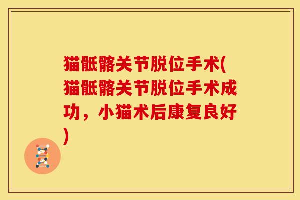 猫骶髂关节脱位手术(猫骶髂关节脱位手术成功，小猫术后康复良好)