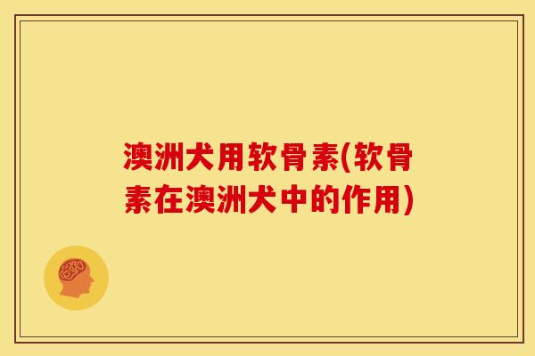 澳洲犬用软骨素(软骨素在澳洲犬中的作用)