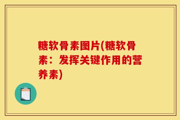 糖软骨素图片(糖软骨素：发挥关键作用的营养素)