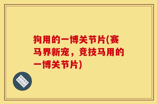 狗用的一博关节片(赛马界新宠，竞技马用的一博关节片)