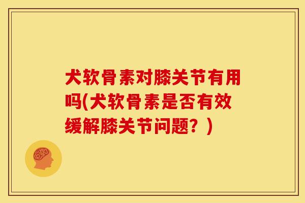犬软骨素对膝关节有用吗(犬软骨素是否有效缓解膝关节问题？)