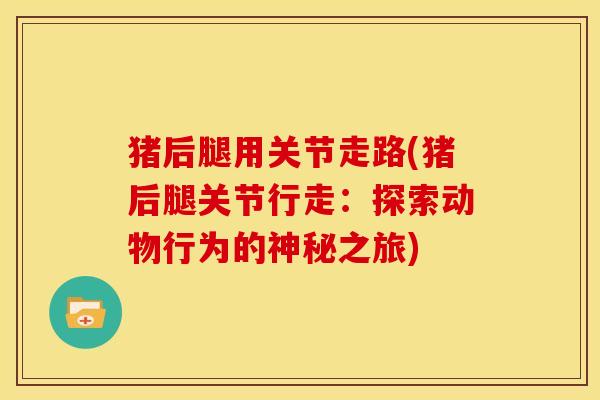 猪后腿用关节走路(猪后腿关节行走：探索动物行为的神秘之旅)