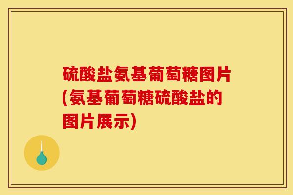 硫酸盐氨基葡萄糖图片(氨基葡萄糖硫酸盐的图片展示)