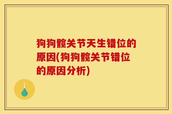 狗狗髋关节天生错位的原因(狗狗髋关节错位的原因分析)