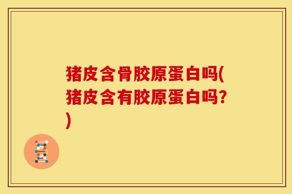 猪皮含骨胶原蛋白吗(猪皮含有胶原蛋白吗?) 猪皮含骨胶原蛋白吗(猪皮含有胶原蛋白吗?)