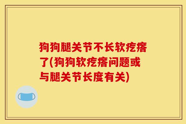 狗狗腿关节不长软疙瘩了(狗狗软疙瘩问题或与腿关节长度有关)