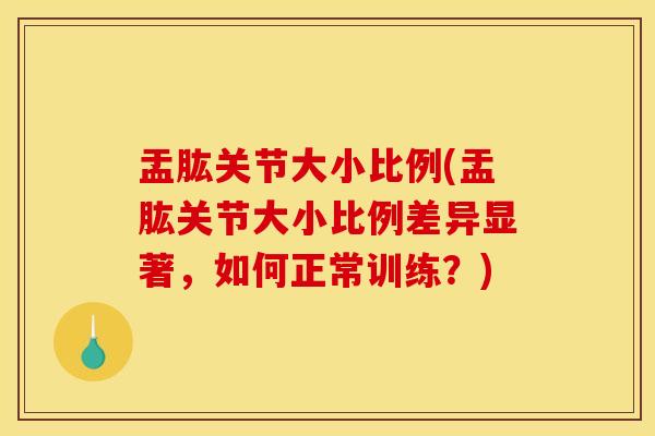 盂肱关节大小比例(盂肱关节大小比例差异显著，如何正常训练？)