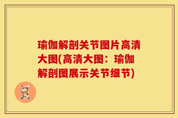 瑜伽解剖关节图片高清大图(高清大图：瑜伽解剖图展示关节细节)
