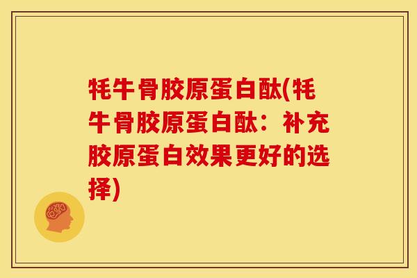 牦牛骨胶原蛋白酞(牦牛骨胶原蛋白酞：补充胶原蛋白效果更好的选择)