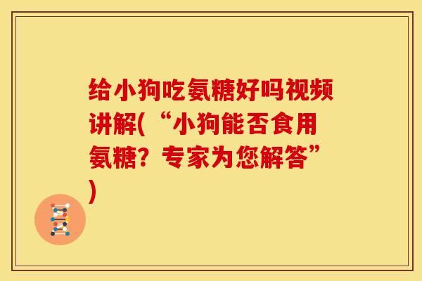 给小狗吃氨糖好吗视频讲解(“小狗能否食用氨糖？专家为您解答”)