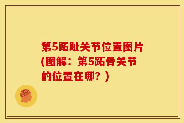 第5跖趾关节位置图片(图解：第5跖骨关节的位置在哪？)