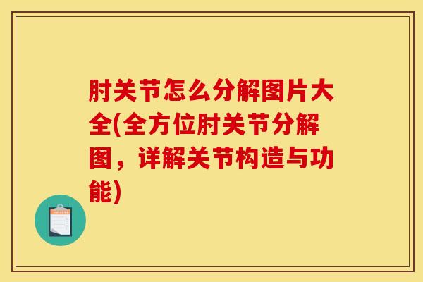肘关节怎么分解图片大全(全方位肘关节分解图，详解关节构造与功能)