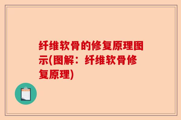 纤维软骨的修复原理图示(图解：纤维软骨修复原理)