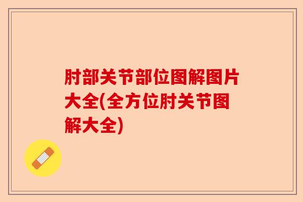 肘部关节部位图解图片大全(全方位肘关节图解大全)