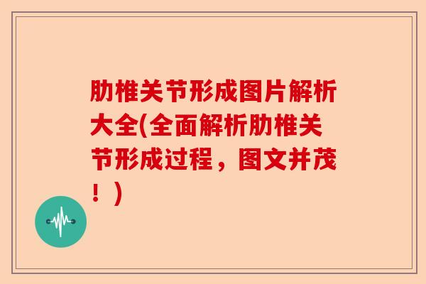 肋椎关节形成图片解析大全(全面解析肋椎关节形成过程，图文并茂！)