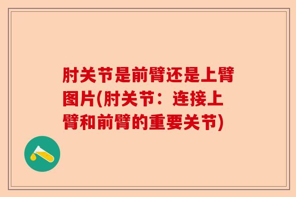肘关节是前臂还是上臂图片(肘关节：连接上臂和前臂的重要关节)