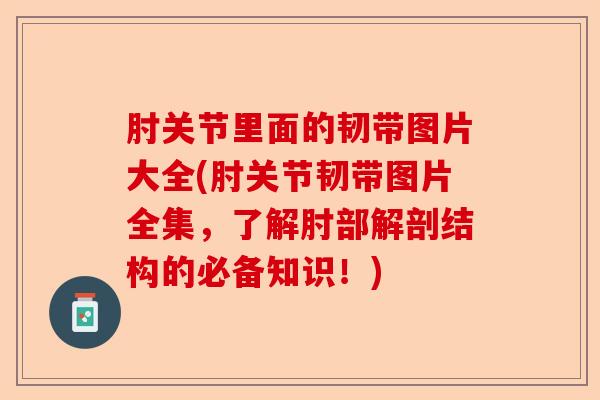 肘关节里面的韧带图片大全(肘关节韧带图片全集,了解肘部解剖结构的必备知识!) 肘关节里面的韧带图片大全(肘关节韧带图片全集,了解肘部解剖结构的必备知识!)