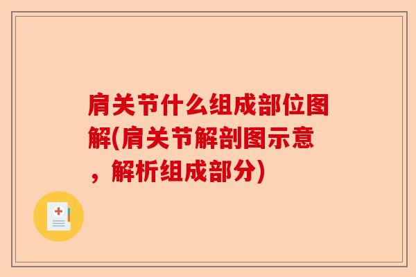 肩关节什么组成部位图解(肩关节解剖图示意，解析组成部分)