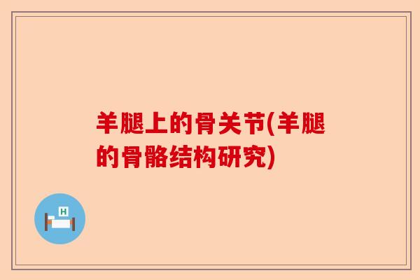 羊腿上的骨关节(羊腿的骨骼结构研究)