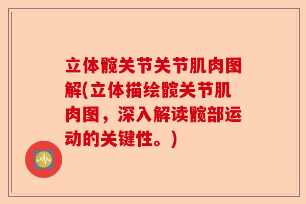 立体髋关节关节肌肉图解(立体描绘髋关节肌肉图，深入解读髋部运动的关键性。)