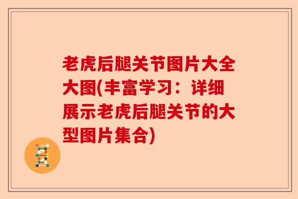 老虎后腿关节图片大全大图(丰富学习：详细展示老虎后腿关节的大型图片集合)