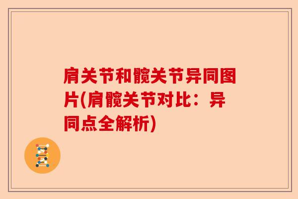 肩关节和髋关节异同图片(肩髋关节对比：异同点全解析)