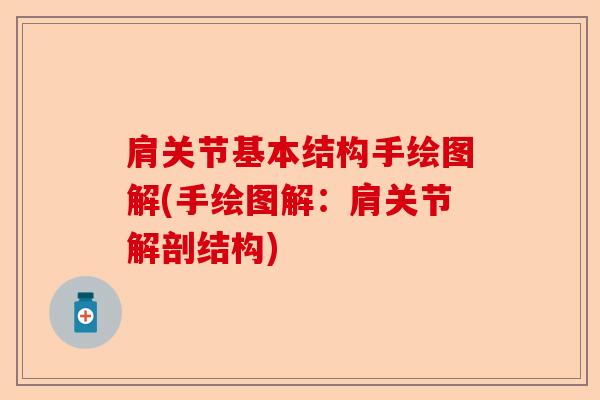 肩关节基本结构手绘图解(手绘图解：肩关节解剖结构)