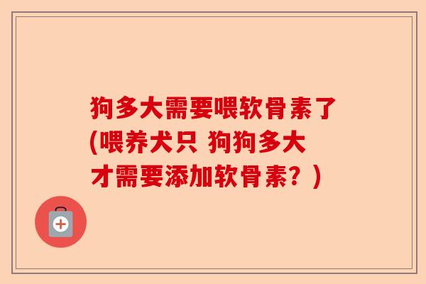 狗多大需要喂软骨素了(喂养犬只 狗狗多大才需要添加软骨素？)