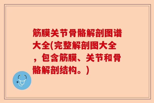 筋膜关节骨骼解剖图谱大全(完整解剖图大全，包含筋膜、关节和骨骼解剖结构。)