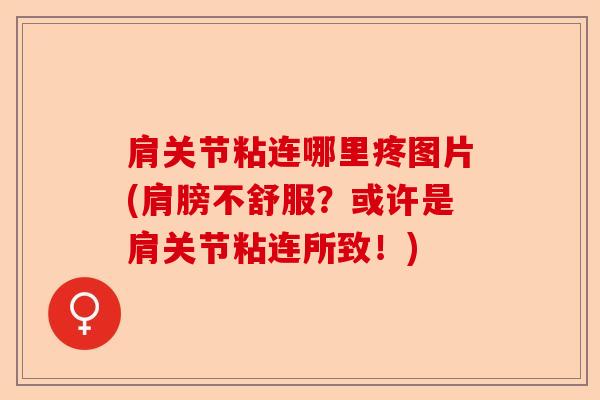 肩关节粘连哪里疼图片(肩膀不舒服？或许是肩关节粘连所致！)