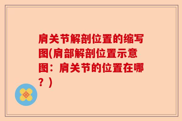 肩关节解剖位置的缩写图(肩部解剖位置示意图：肩关节的位置在哪？)