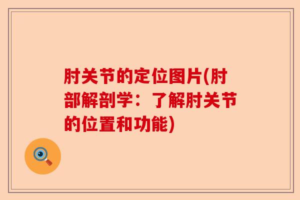 肘关节的定位图片(肘部解剖学:了解肘关节的位置和功能) 肘关节的定位图片(肘部解剖学:了解肘关节的位置和功能)