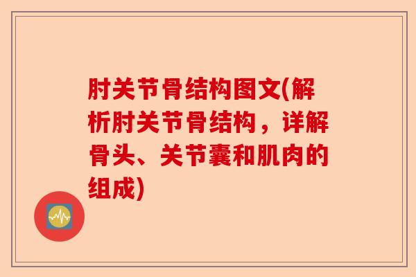 肘关节骨结构图文(解析肘关节骨结构,详解骨头、关节囊和肌肉的组成) 肘关节骨结构图文(解析肘关节骨结构,详解骨头、关节囊和肌肉的组成)