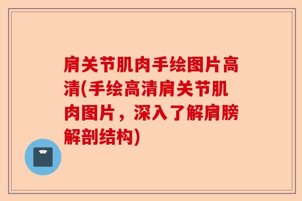 肩关节肌肉手绘图片高清(手绘高清肩关节肌肉图片,深入了解肩膀解剖结构) 肩关节肌肉手绘图片高清(手绘高清肩关节肌肉图片,深入了解肩膀解剖结构)