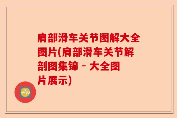 肩部滑车关节图解大全图片(肩部滑车关节解剖图集锦 - 大全图片展示)