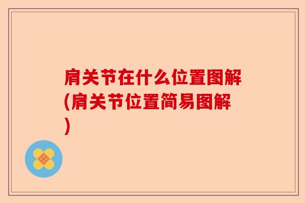 肩关节在什么位置图解(肩关节位置简易图解)