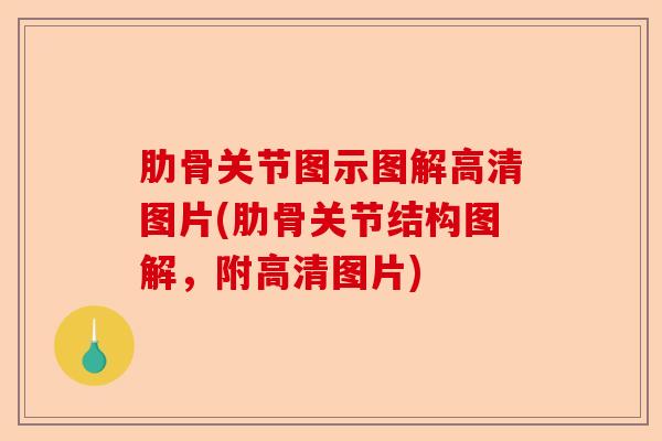 肋骨关节图示图解高清图片(肋骨关节结构图解，附高清图片)