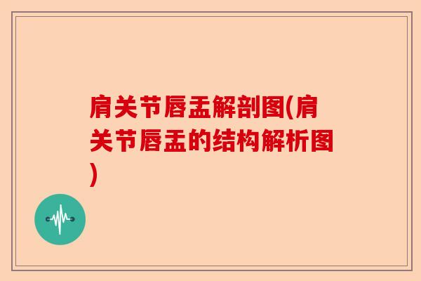 肩关节唇盂解剖图(肩关节唇盂的结构解析图)