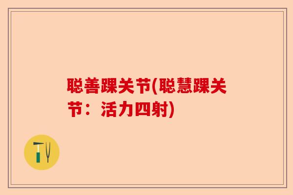 聪善踝关节(聪慧踝关节：活力四射)