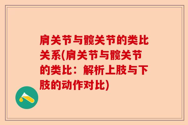 肩关节与髋关节的类比关系(肩关节与髋关节的类比：解析上肢与下肢的动作对比)