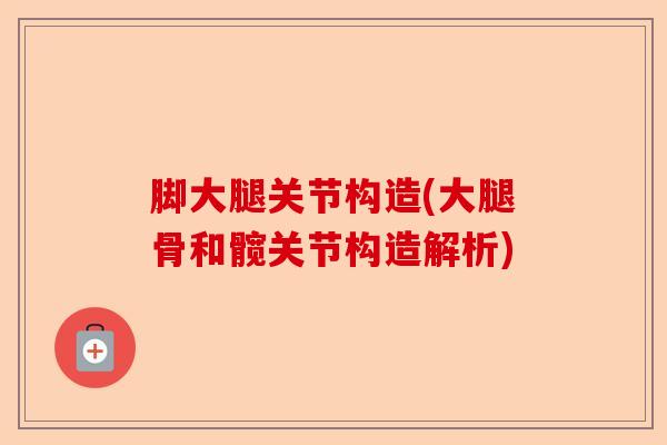 脚大腿关节构造(大腿骨和髋关节构造解析)