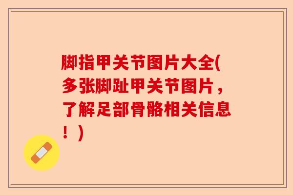 脚指甲关节图片大全(多张脚趾甲关节图片，了解足部骨骼相关信息！)