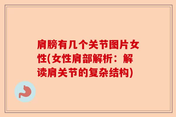 肩膀有几个关节图片女性(女性肩部解析：解读肩关节的复杂结构)