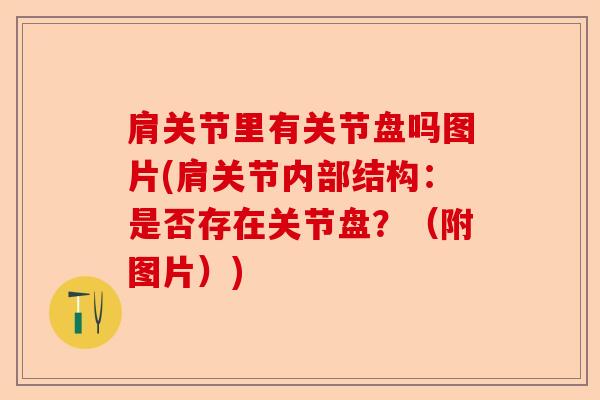 肩关节里有关节盘吗图片(肩关节内部结构：是否存在关节盘？（附图片）)