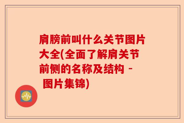 肩膀前叫什么关节图片大全(全面了解肩关节前侧的名称及结构 - 图片集锦)