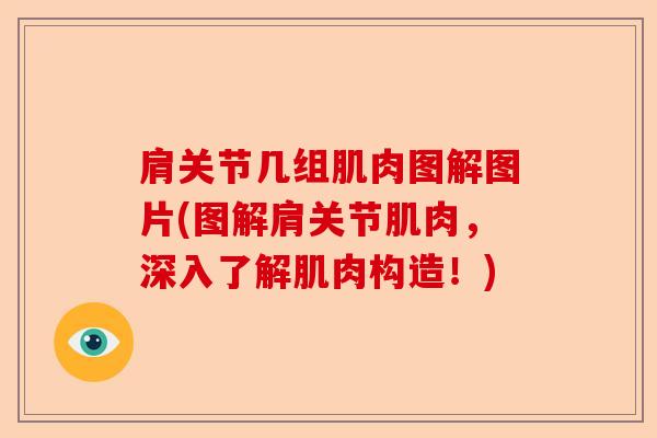 肩关节几组肌肉图解图片(图解肩关节肌肉，深入了解肌肉构造！)
